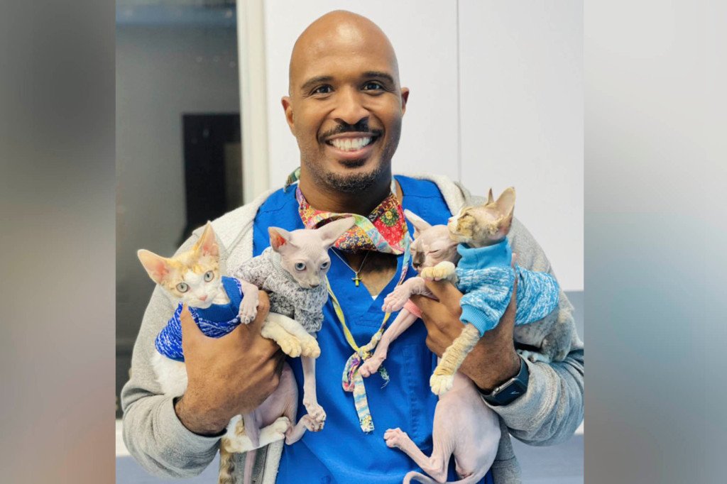 A smiling vet holding 4 cats.