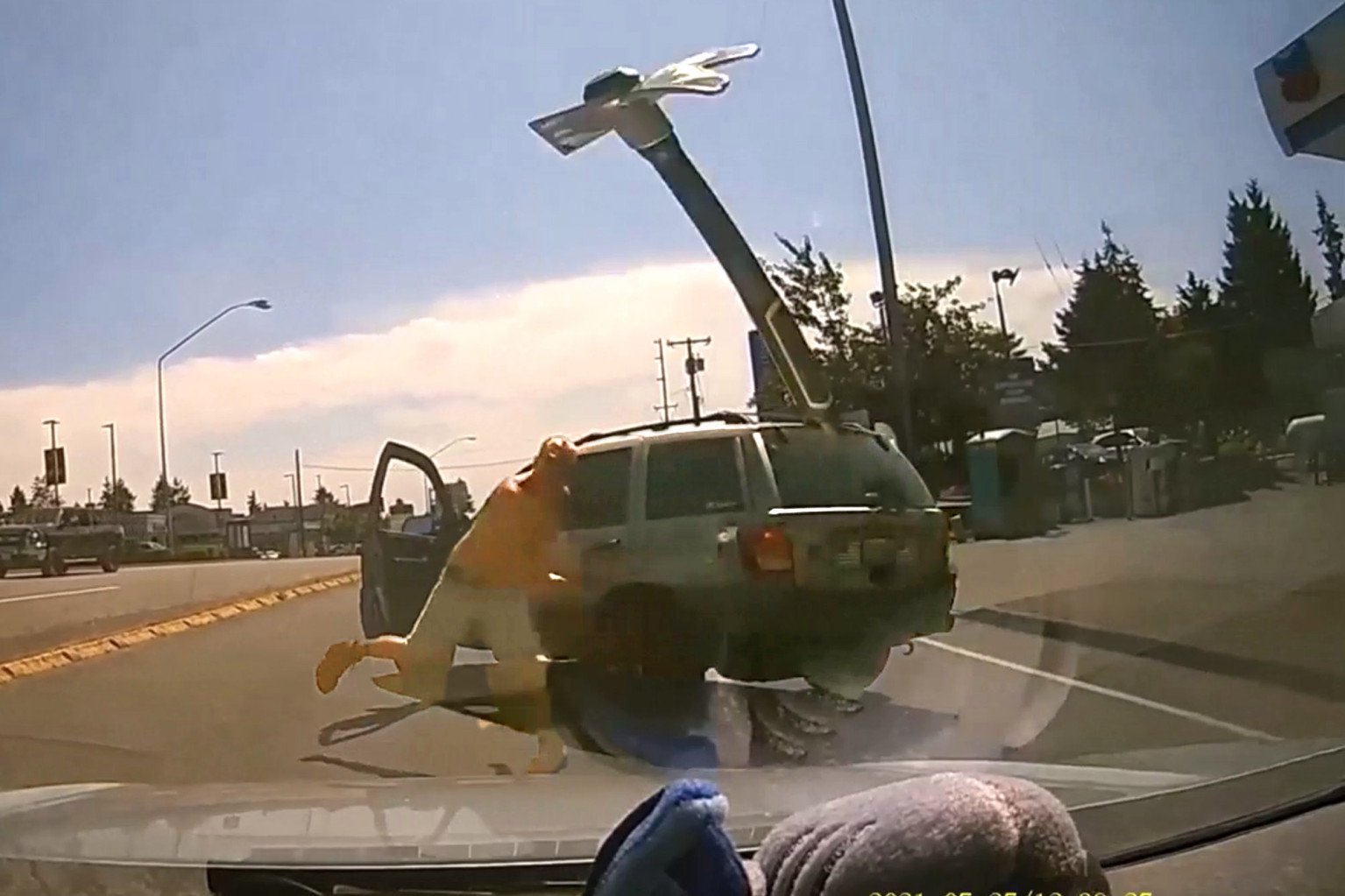 dashcam footage showing axe about to hit victim's windshield with shirtless man who threw it standing behind