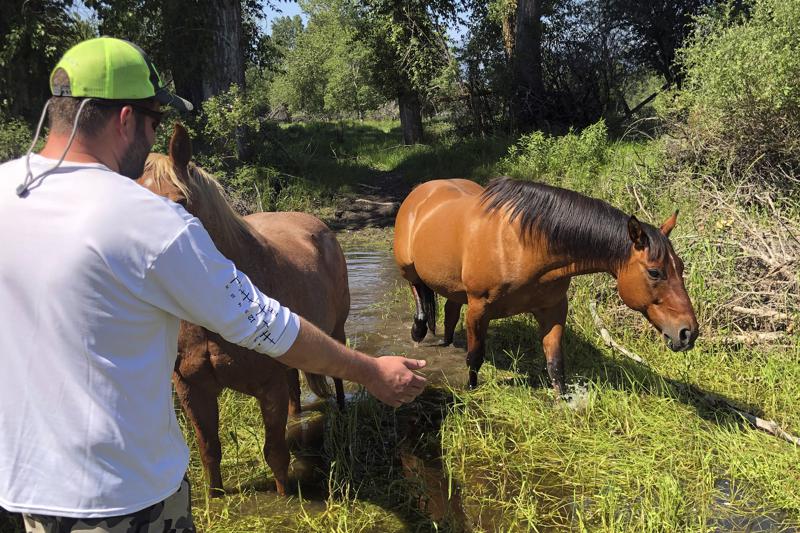 Matthew Eickholt greets a horse by the river