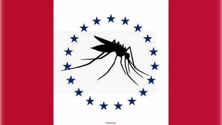 Thomas Rosete's proposal for Mississippi's new state flag, featuring a giant mosquito